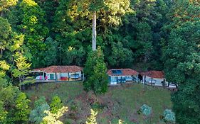 Dantica Cloud Forest Lodge